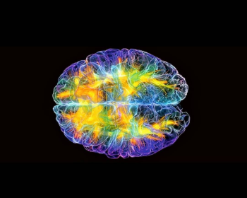 A Quiropraxia aumenta em 20% a função Cerebral aponta pesquisa!!